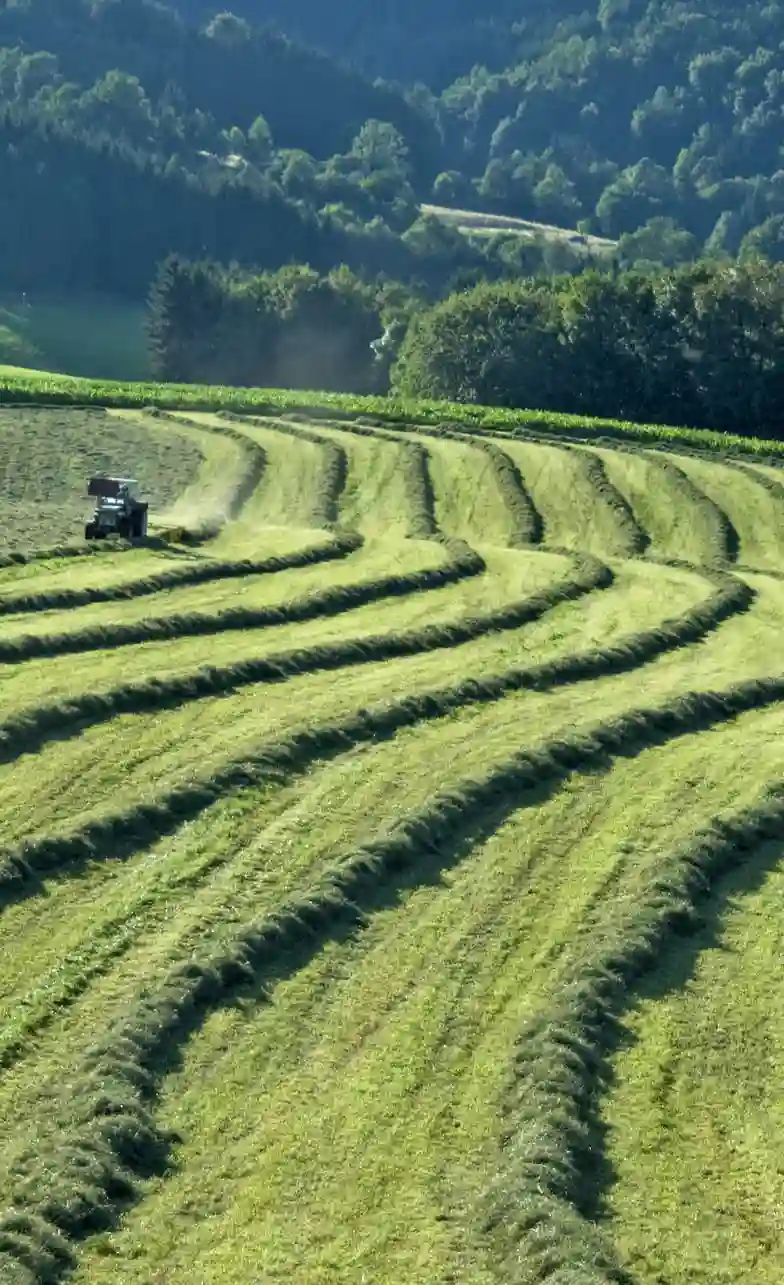 ecosyl100-siliermittel-silage-grassilage-grundfutterqualität