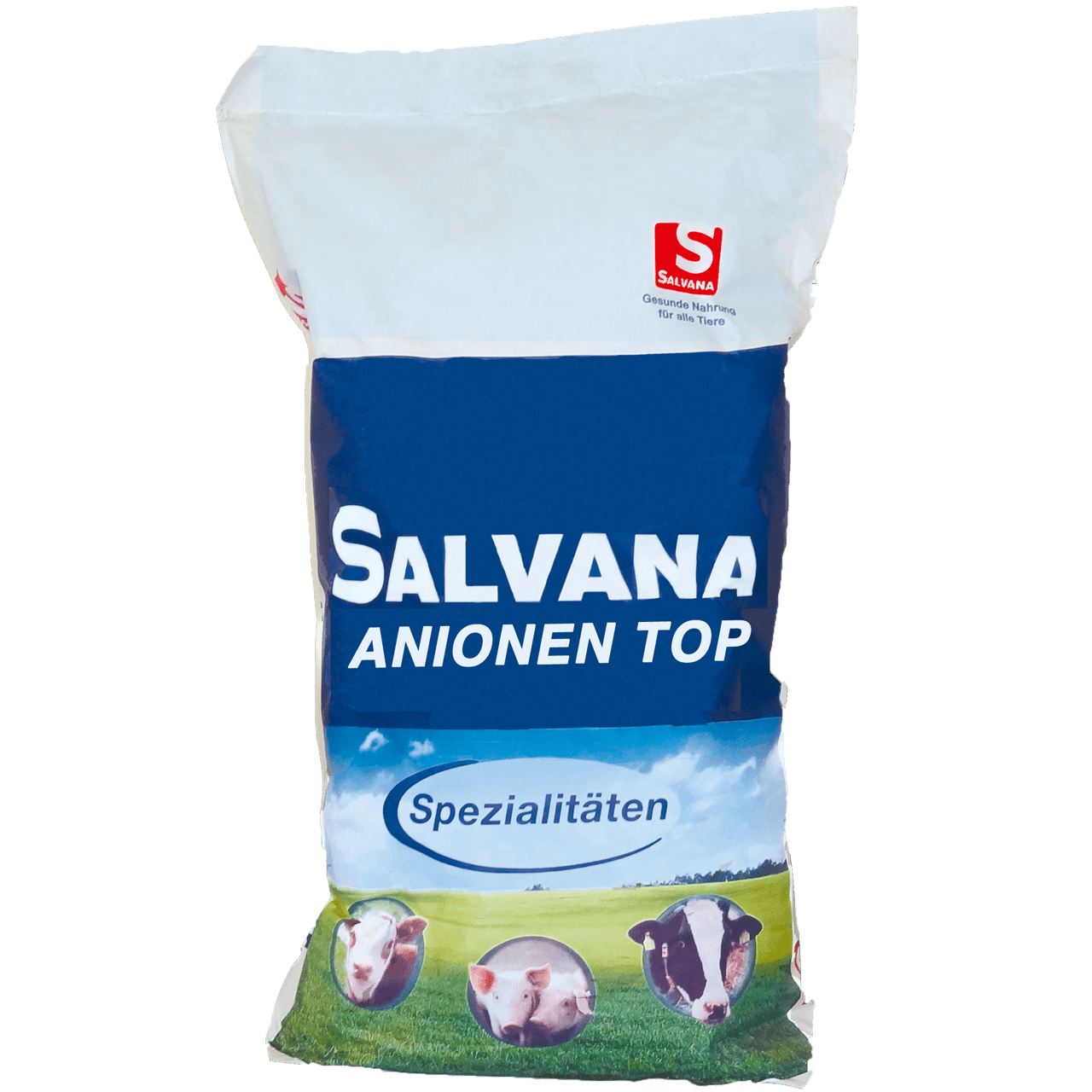 SALVANA ANIONEN-TOP